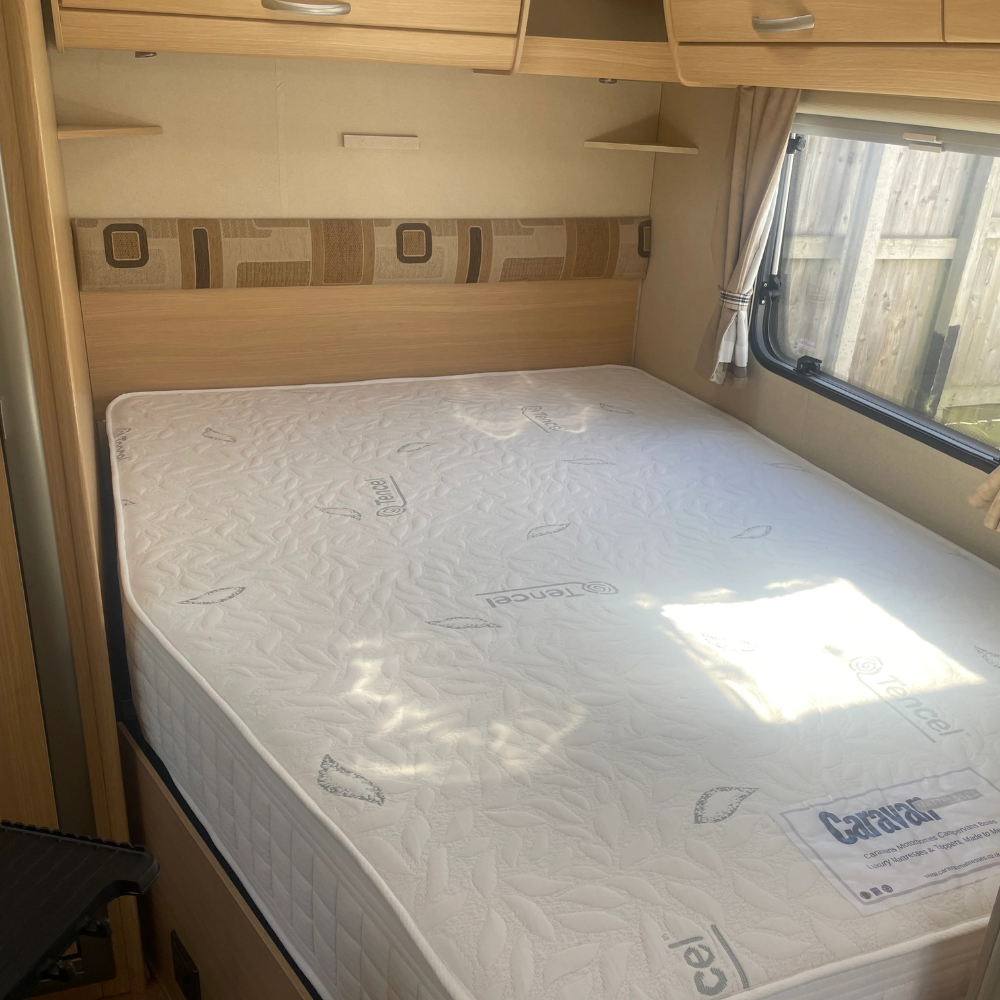 Abbey Vogue 495 reference image