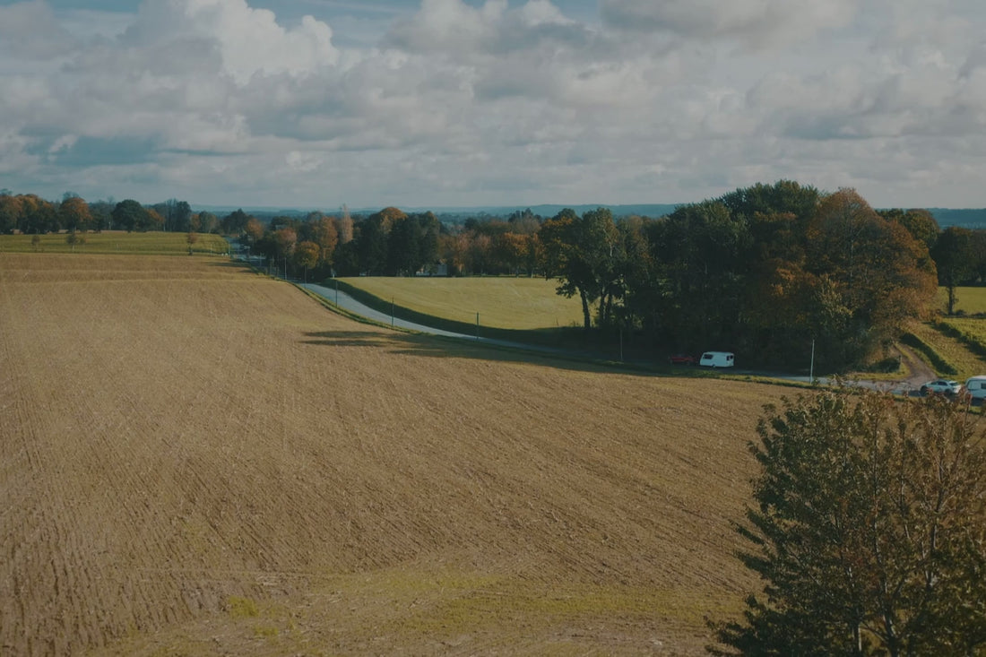 An aerial view of two caravans journeying along a scenic country road, highlighting the freedom of caravan travel and the importance of restful sleep during adventures. The scene showcases modern caravans against a pastoral landscape of harvested fields and autumn trees, reminding viewers that every great caravan holiday begins and ends with the comfort of a quality caravan mattress - the essential foundation for refreshing rest while exploring the open road.